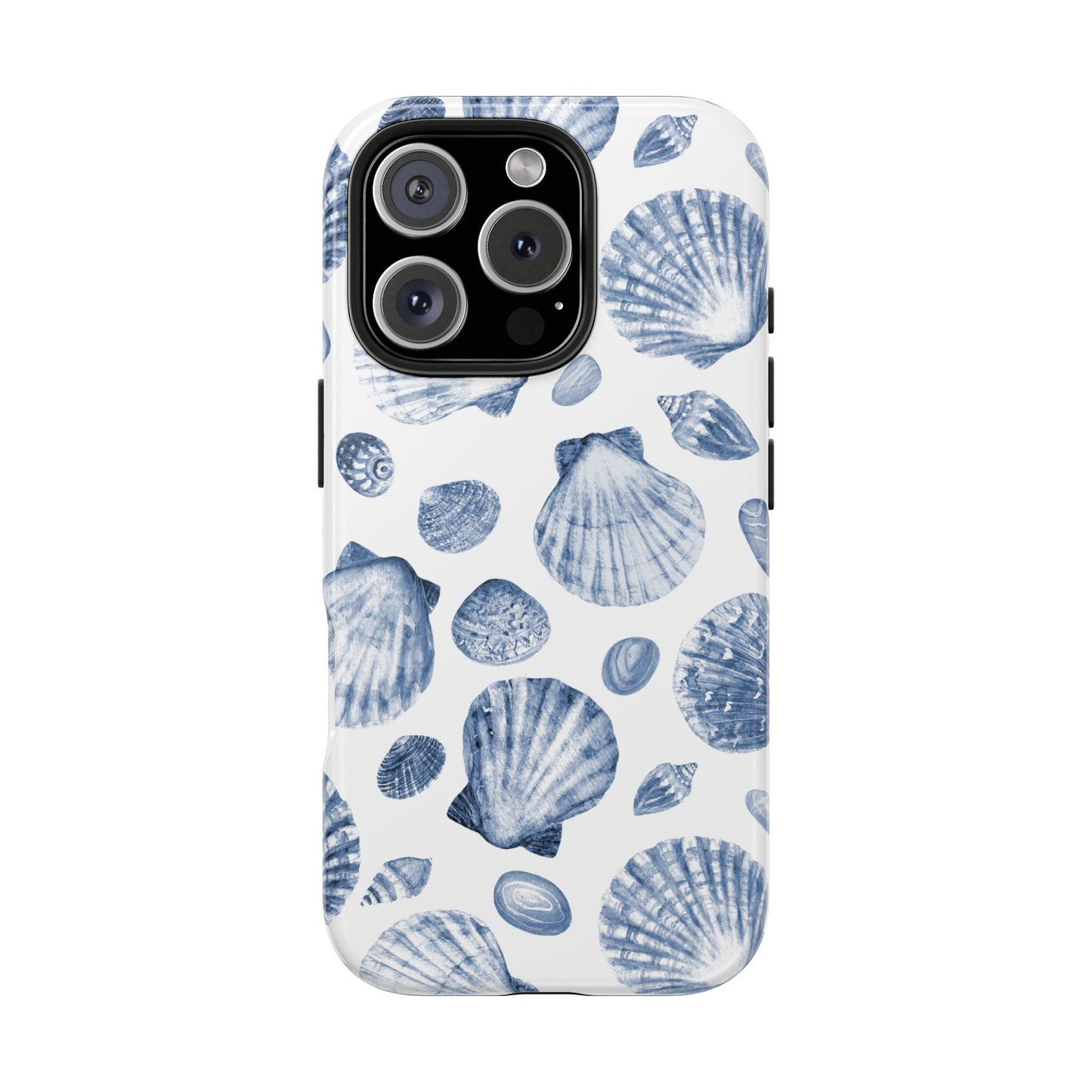 Coastal Shells